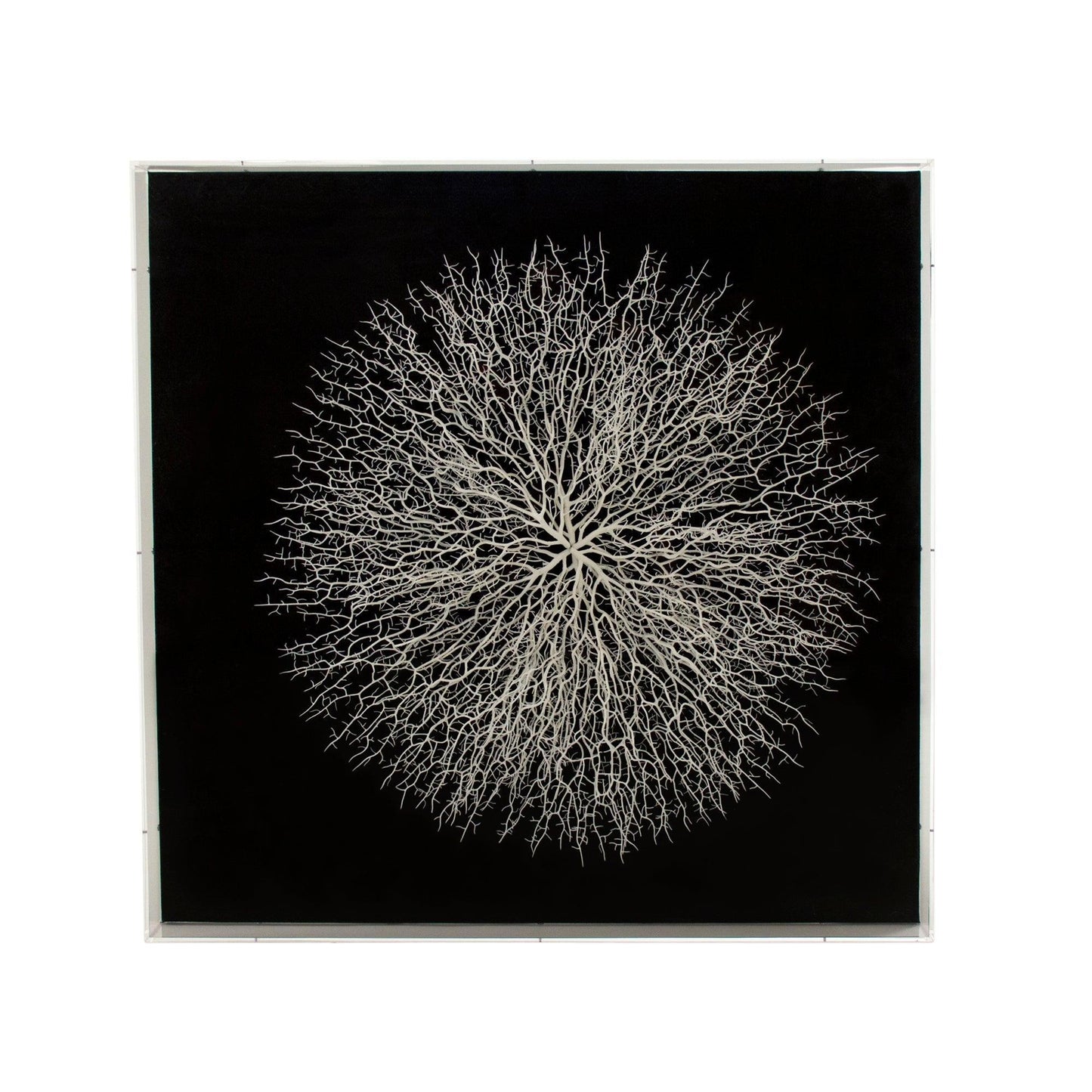 Abstract Branches in Acrylic Wall Art ZEN35778 FredCo