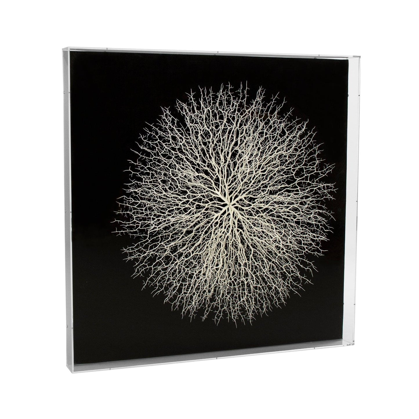 Abstract Branches in Acrylic Wall Art ZEN35778 FredCo