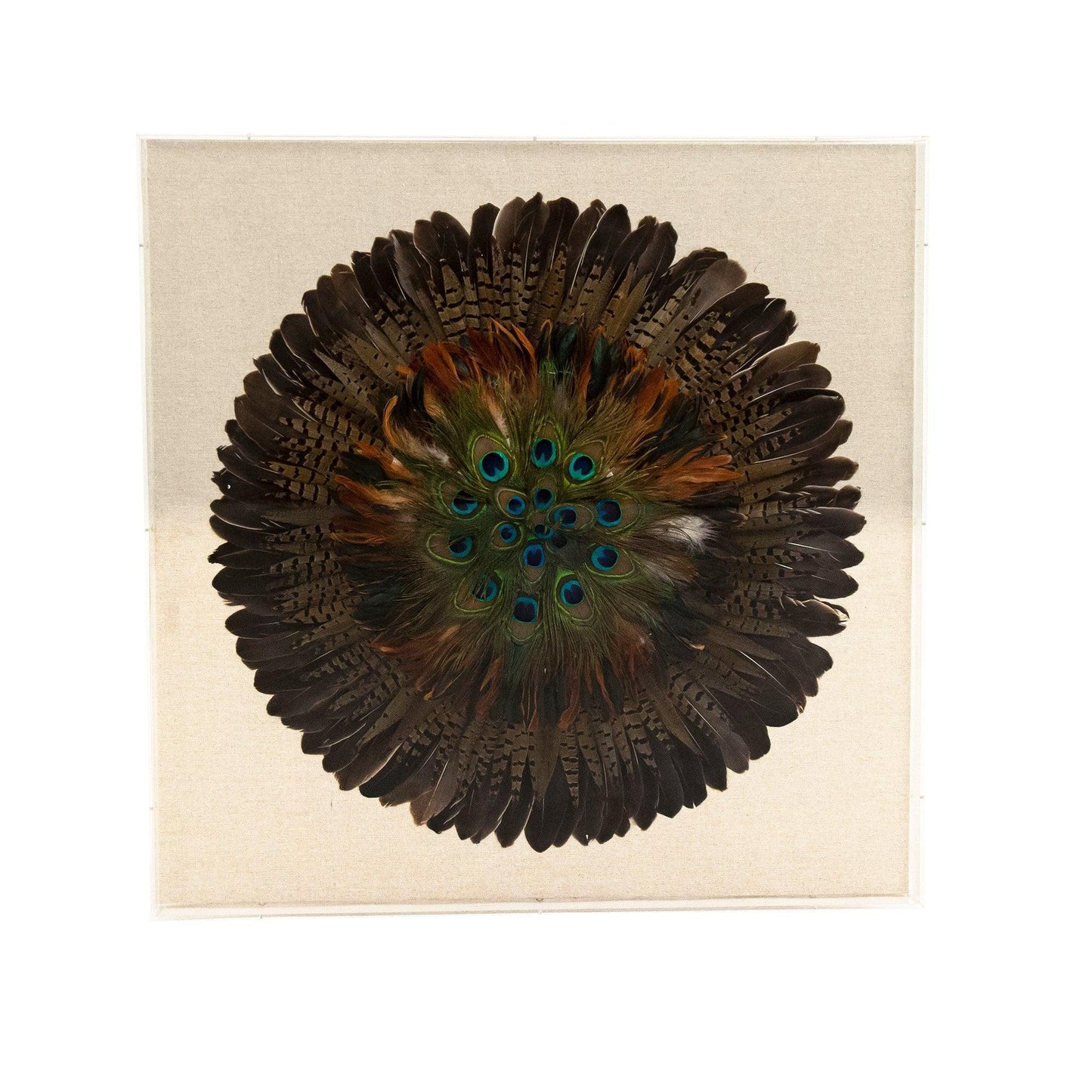 Abstract Feather Acrylic Framed Wall Art ZEN40037 FredCo