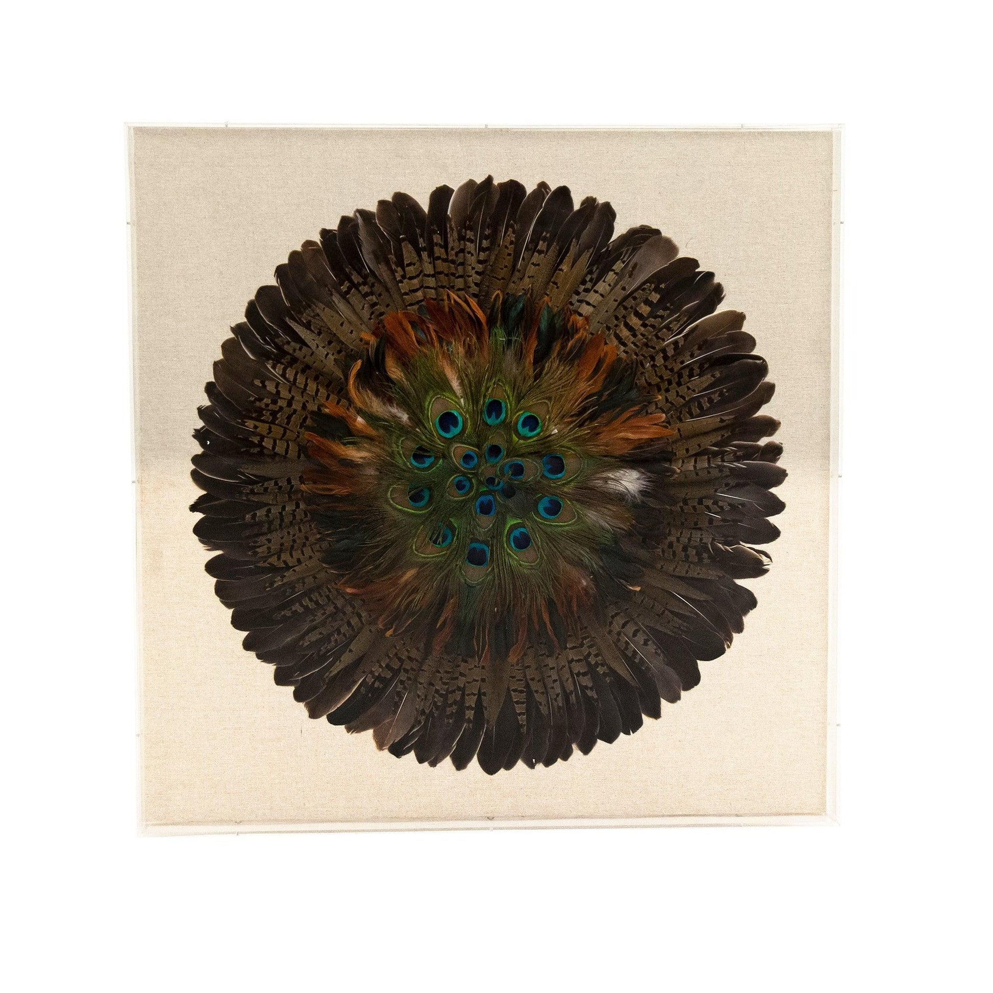 Abstract Feather Acrylic Framed Wall Art ZEN40037 FredCo