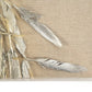 Abstract Feather Art (Set of 4) ZEN35793 FredCo