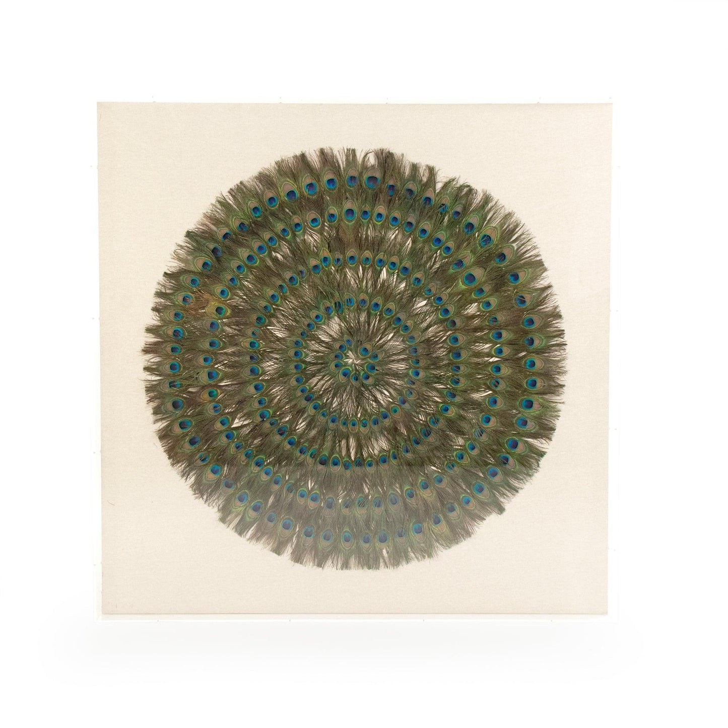 Abstract Paper Acrylic Framed Art ZEN30103 FredCo