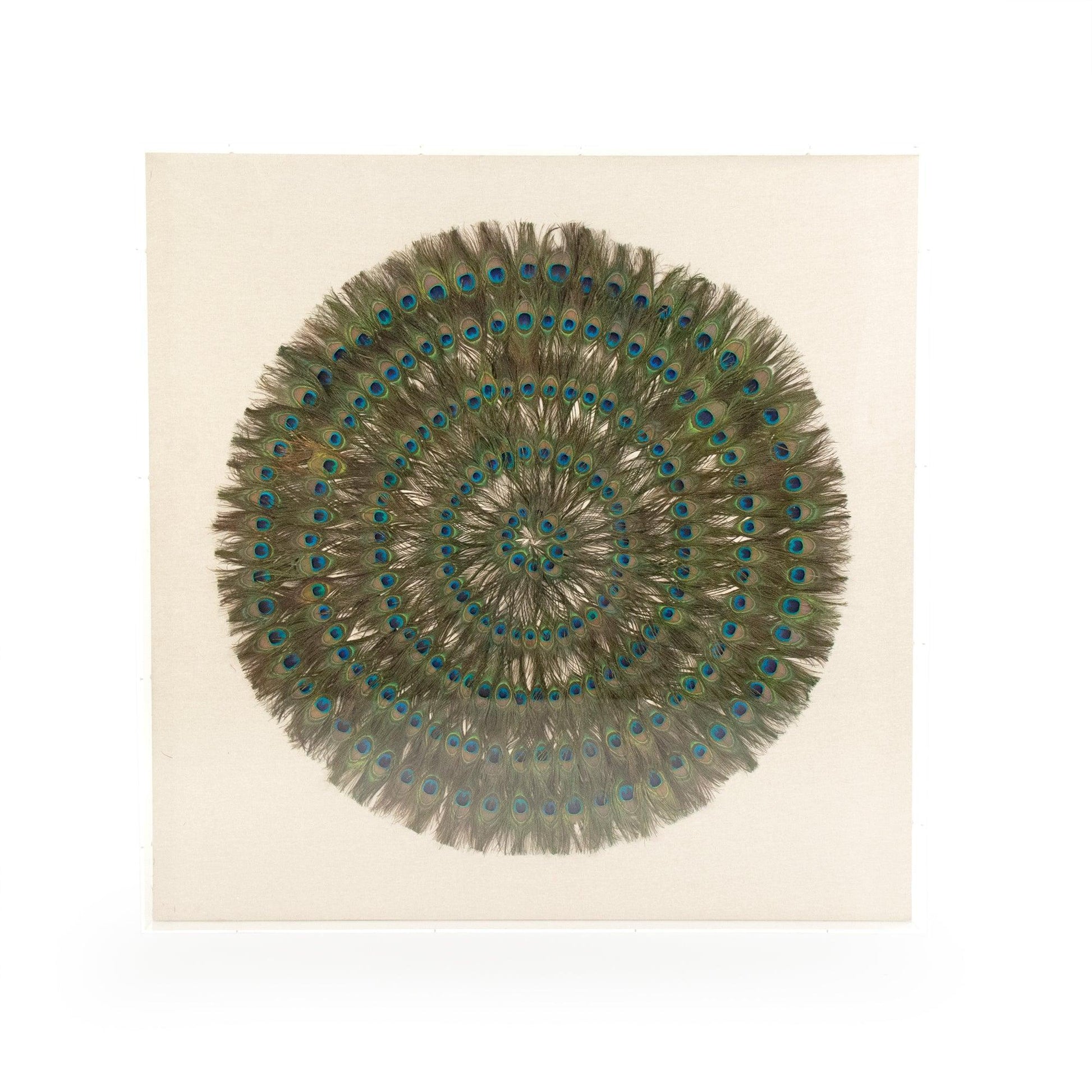 Abstract Paper Acrylic Framed Art ZEN30103 FredCo