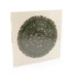 Abstract Paper Acrylic Framed Art ZEN30103 FredCo