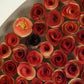 Abstract Rose Wall Art ZEN35314 FredCo