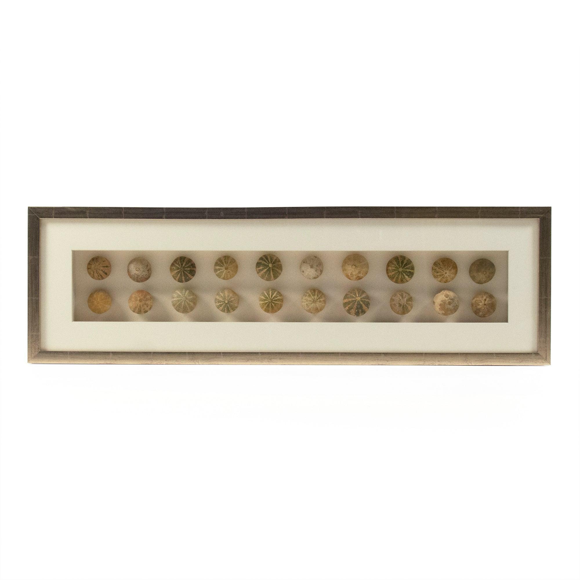Abstract Shell Art ZEN18291A | FredCo