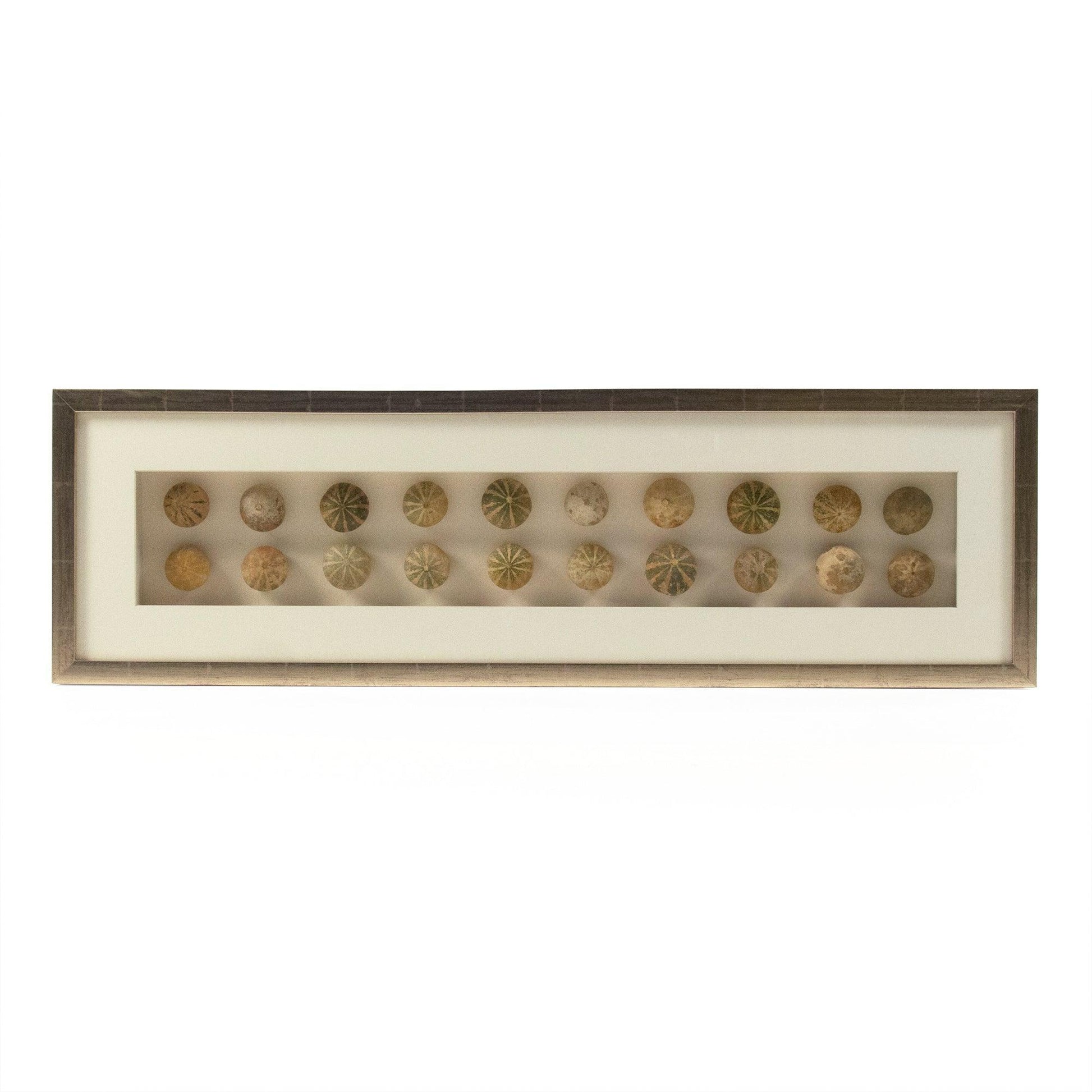 Abstract Shell Art ZEN18291A FredCo