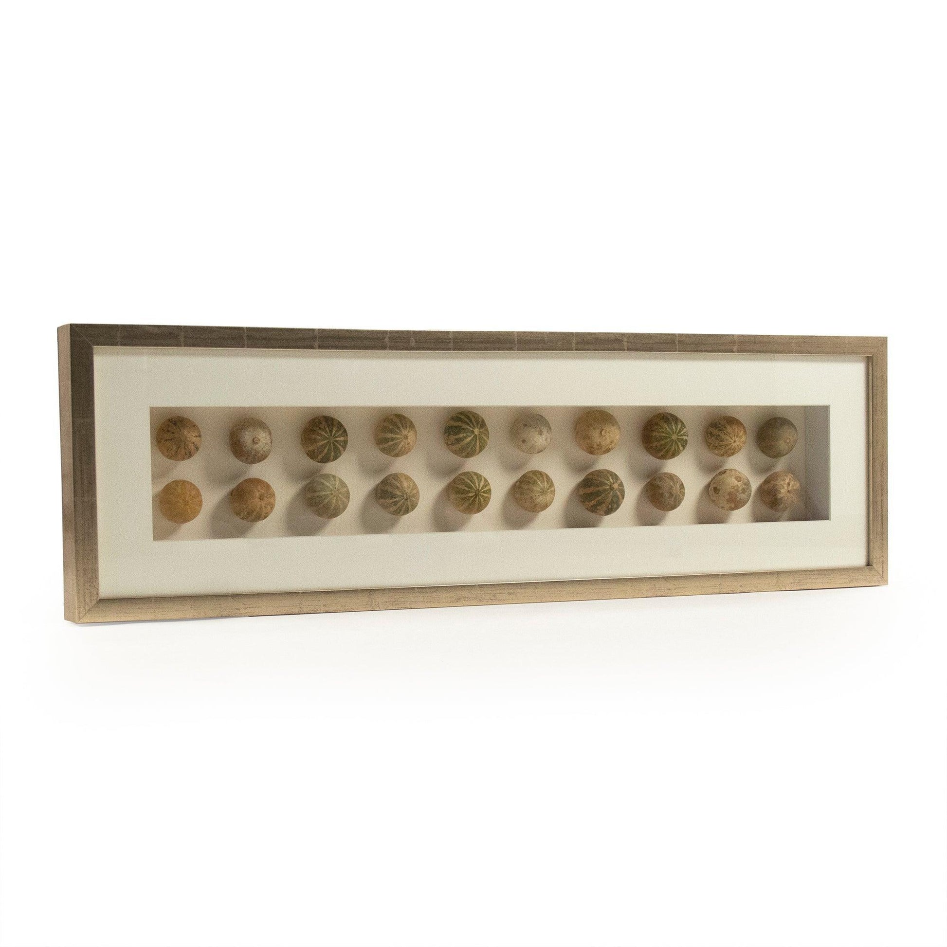 Abstract Shell Art ZEN18291A FredCo