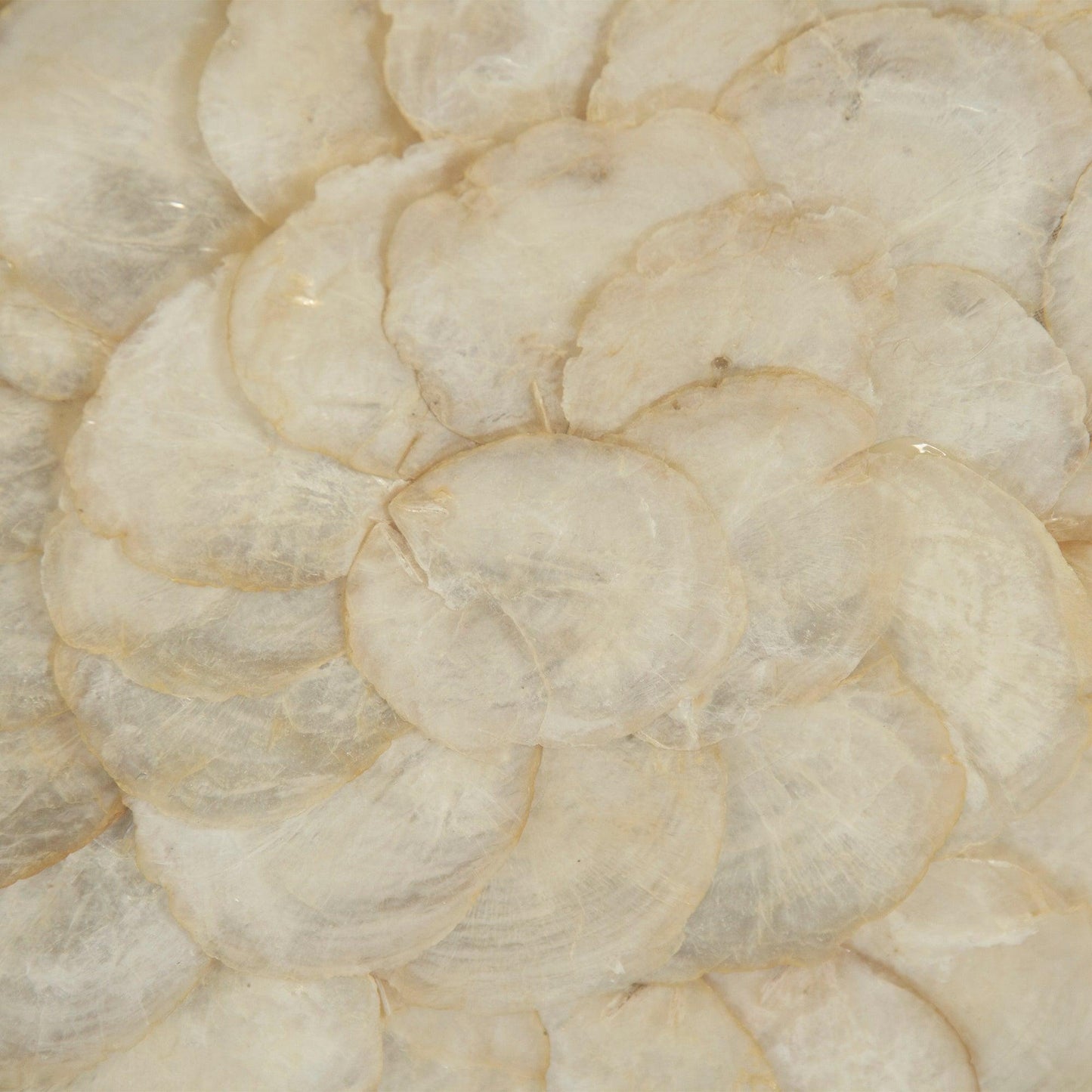 Abstract Shell Art ZEN36702B FredCo