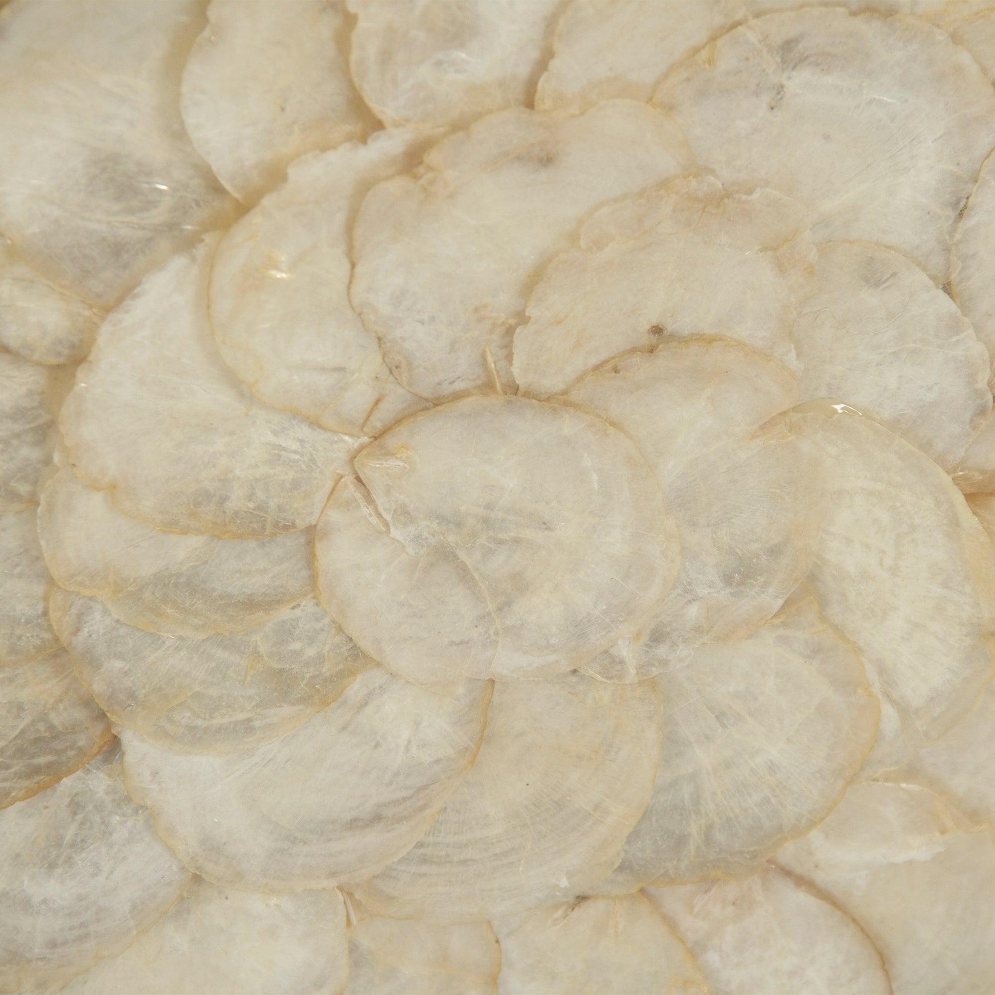 Abstract Shell Art ZEN36702B FredCo
