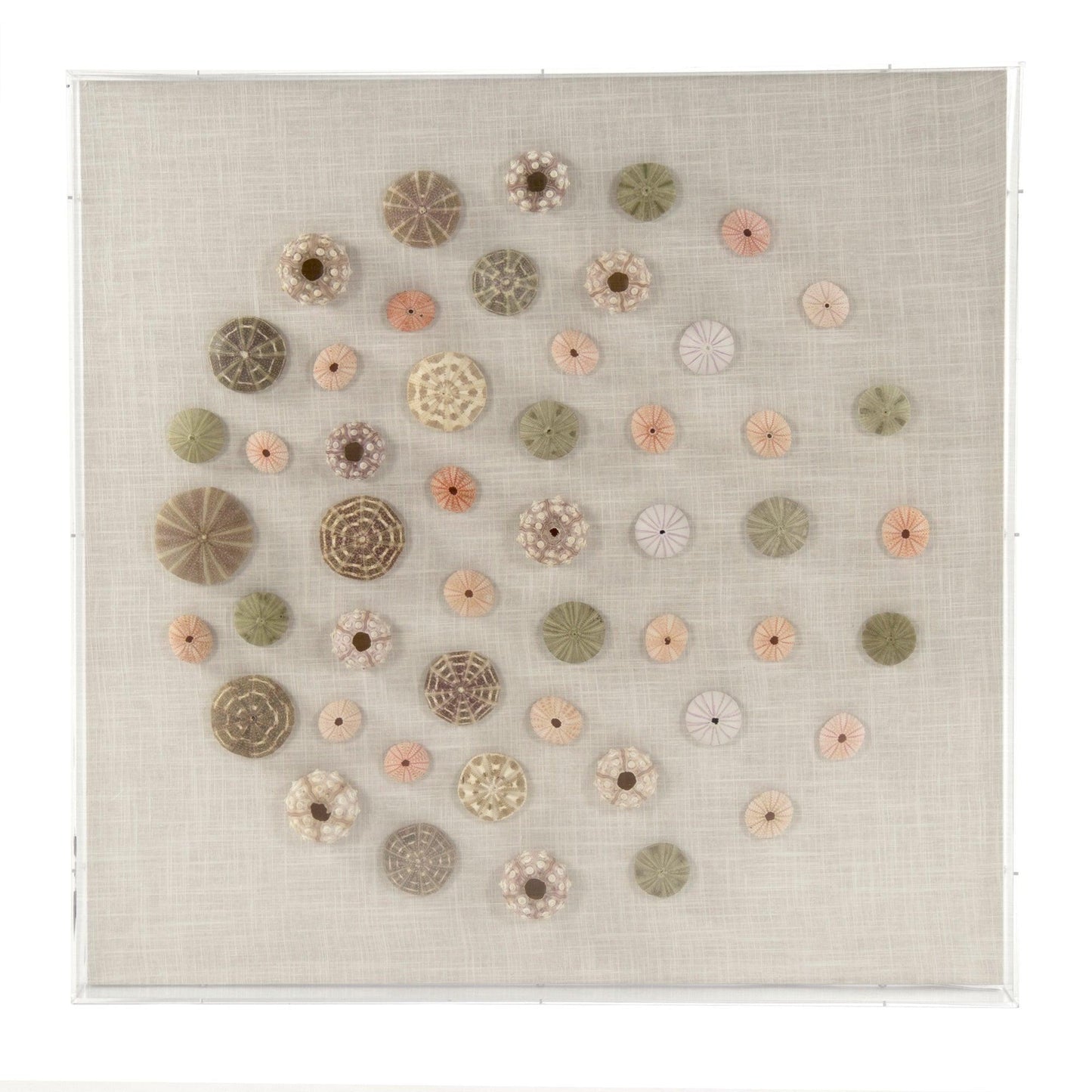 Abstract Shell Wall Art ZEN36233 FredCo