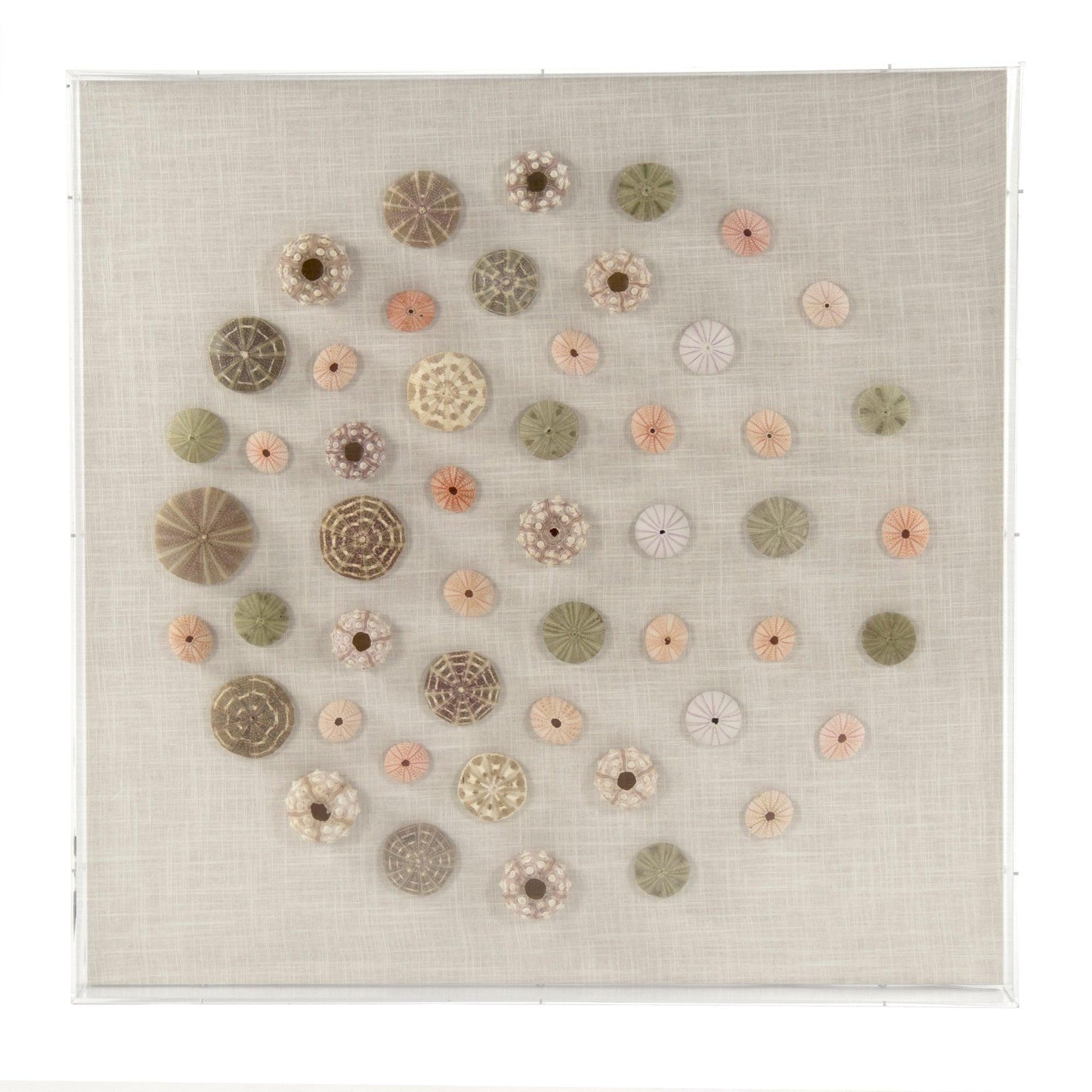Abstract Shell Wall Art ZEN36233 FredCo