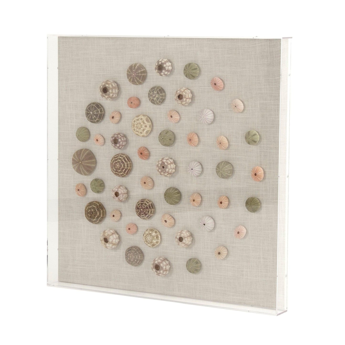 Abstract Shell Wall Art ZEN36233 FredCo