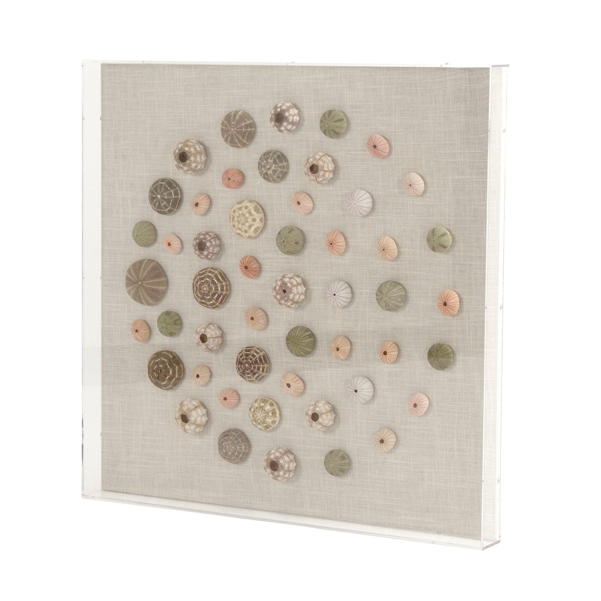 Abstract Shell Wall Art ZEN36233 FredCo