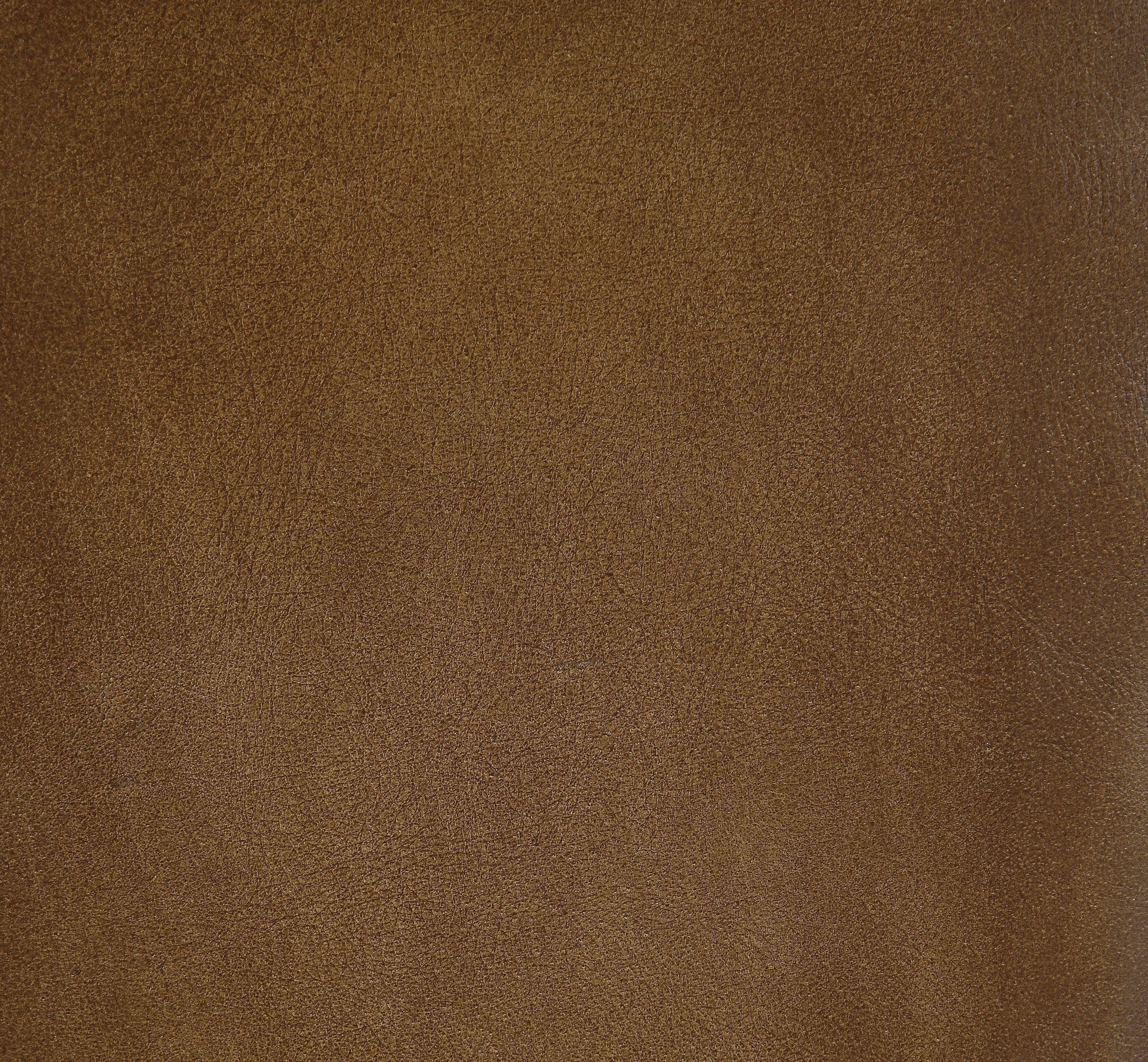 ACME Alsey Bar Chair (1Pc), Saddle Brown Top Grain Leather FredCo