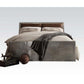 ACME Brancaster Queen Bed w/Storage, Retro Brown Top Grain Leather & Aluminum 26220Q FredCo