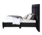 ACME Damazy Eastern King Bed, Black Velvet FredCo