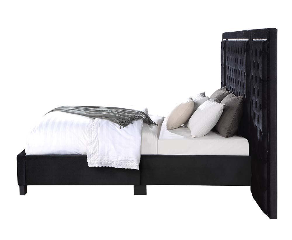 ACME Damazy Queen Bed, Black Velvet FredCo