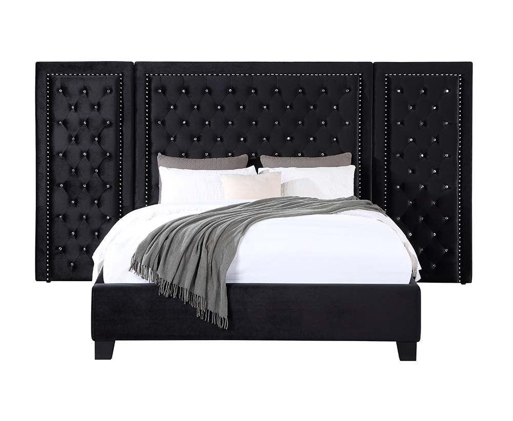 ACME Damazy Queen Bed, Black Velvet FredCo