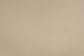ACME Danae Arm Chair (Set-2), PU, Champagne & Gold Finish FredCo