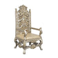ACME Danae Arm Chair (Set-2), PU, Champagne & Gold Finish FredCo
