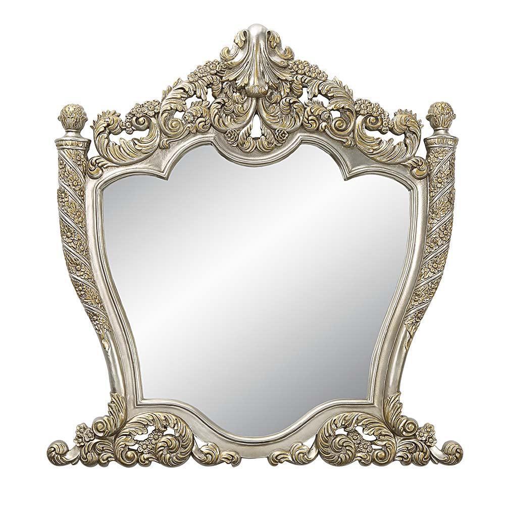 ACME Danae Mirror, Champagne & Gold Finish FredCo