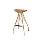 ACME Dragea Bar Stool (Set-2), Whiskey PU & Gold FredCo