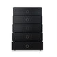ACME Elms Chest, Black FredCo