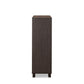 ACME Eloy Chest, Walnut & Espresso FredCo