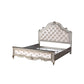ACME Esteban Queen Bed, Velvet & Antique Champagne FredCo