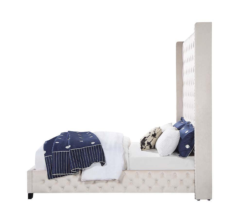 ACME Fabrice Queen Bed, Beige Velvet FredCo