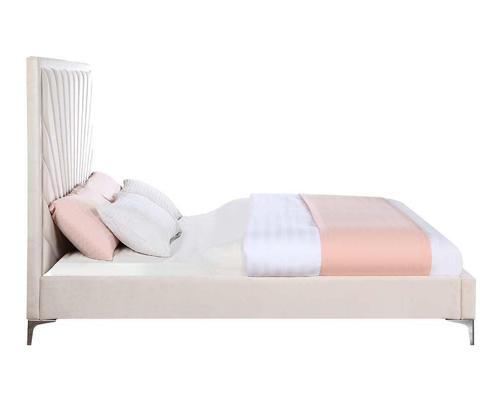 ACME Faiz Queen Bed, Beige Velvet FredCo