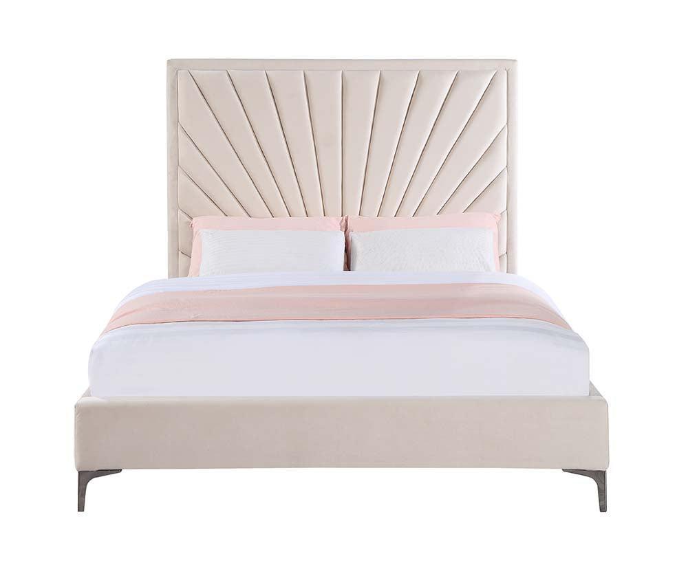 ACME Faiz Queen Bed, Beige Velvet FredCo
