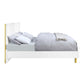 ACME Gaines Queen Bed, White High Gloss Finish FredCo