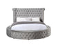 ACME Gaiva Eastern King Bed w/Storage, Gray Velvet FredCo
