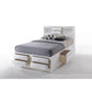 ACME Ireland Queen Bed w/Storage, White 21700Q FredCo