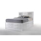 ACME Ireland Queen Bed w/Storage, White 21700Q FredCo