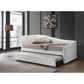 ACME Jedda Daybed & Trundle (Twin Size), White PU FredCo