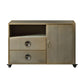 ACME Jennavieve Cabinet, Gold Aluminum FredCo