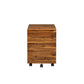 ACME Jurgen File Cabinet, Oak & Black FredCo