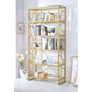 ACME Milavera Bookshelf, Clear Glass & Gold 92470 FredCo