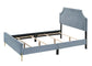 ACME Milla Queen Bed, Light Blue Velvet FredCo