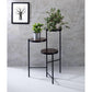 ACME Namid Plant Stand, _ & Black FredCo
