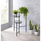 ACME Namid Plant Stand, Black FredCo