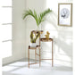ACME Namid Plant Stand, Gold FredCo