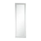 ACME Nyoka Floor Mirror w/LED, Mirrored FredCo