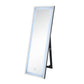 ACME Nyoka Floor Mirror w/LED, Mirrored FredCo