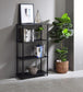ACME Nypho Bookshelf, Black Finish FredCo