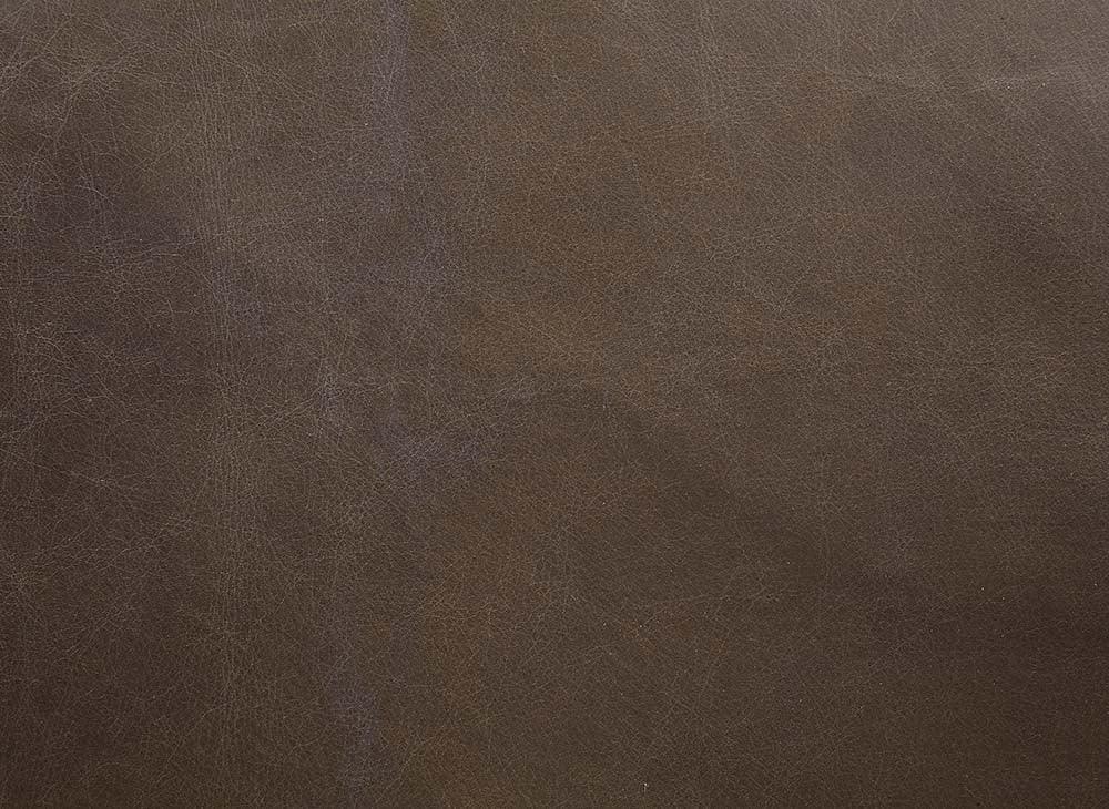 ACME Oralia Accent Chair, Saturn Top Grain Leather FredCo