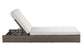 ACME Salena Patio Sun Lounge,Beige Fabric & Gray Finish FredCo